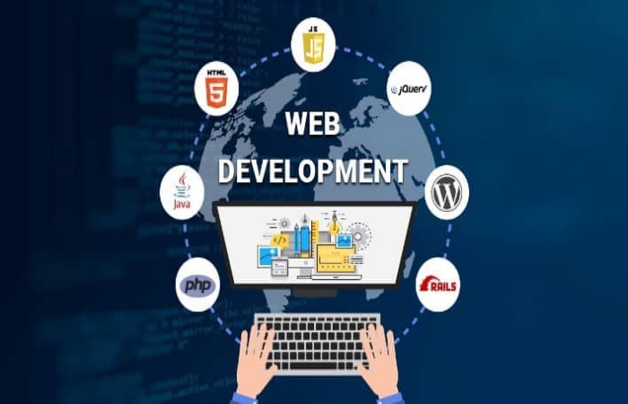 How to Choose the Right Web Development Company Activity_