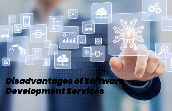 Disadvantages of Software Development Services