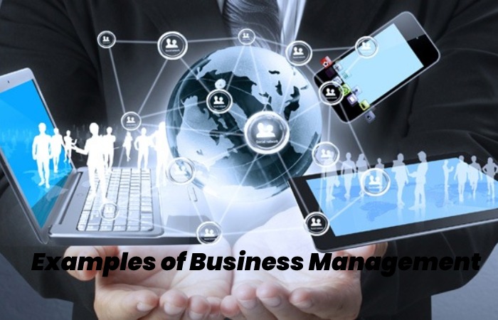 Examples of Business Management Software
