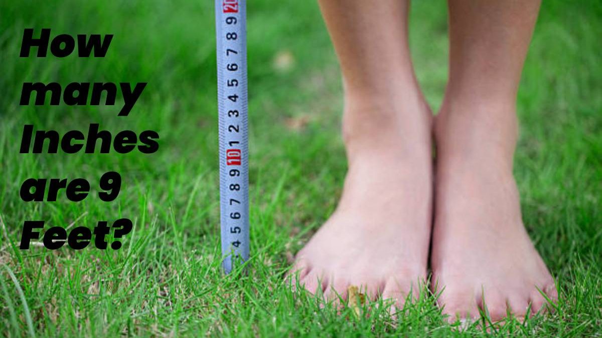 How Many Inches Is 9 Ft 
