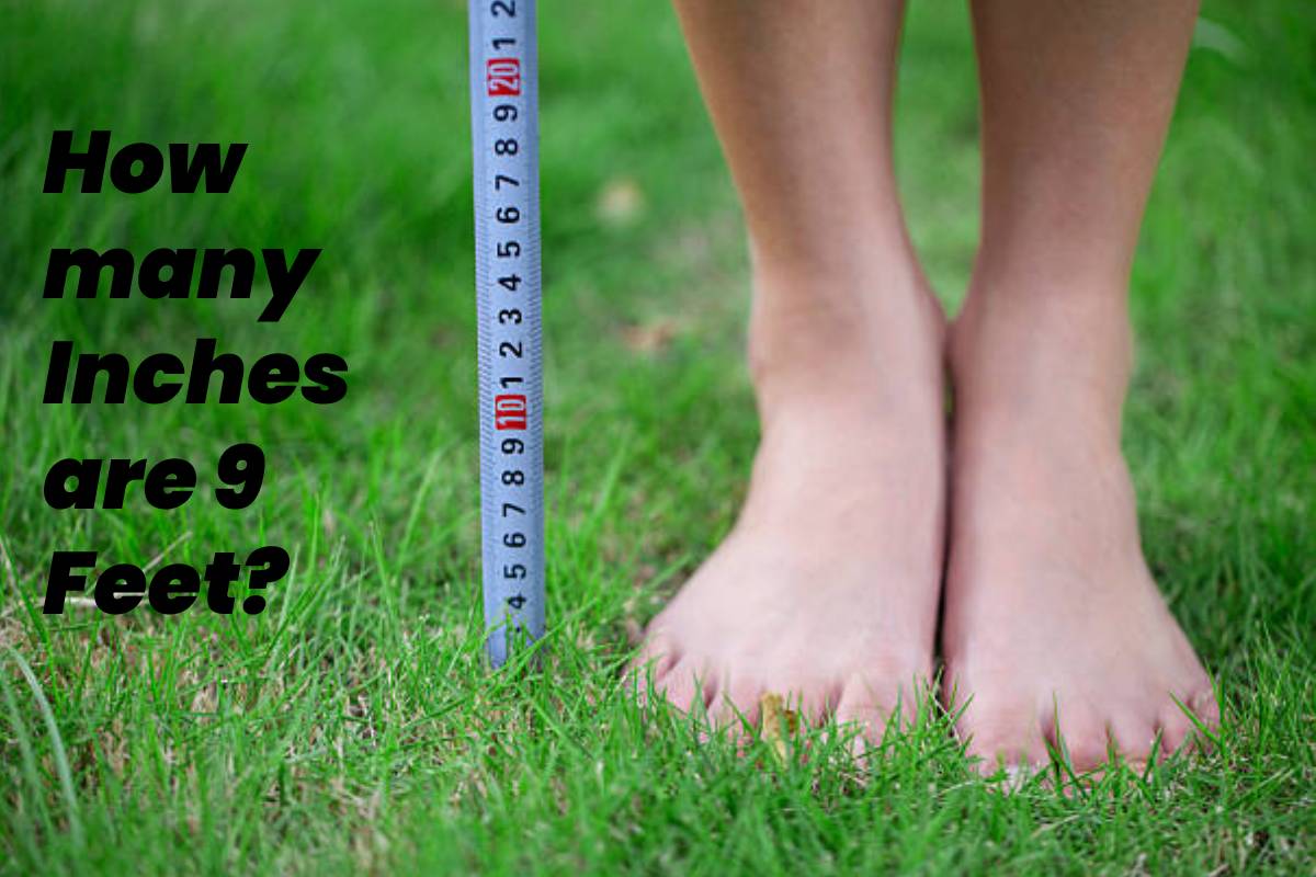 How Many Inches Is 9 Ft 