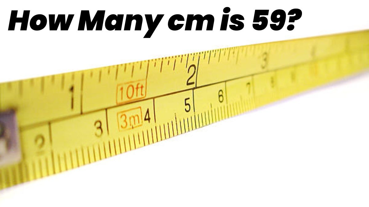 How Many cm is 59?