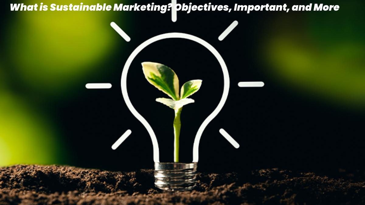 What is Sustainable Marketing? – Objectives, Important, and More
