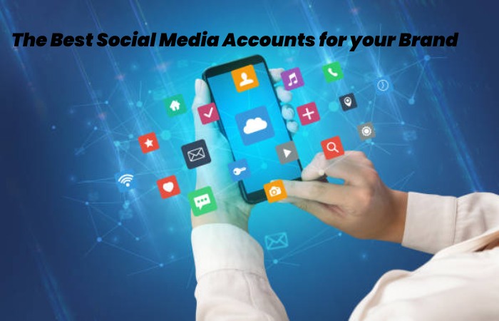 The Best Social Media Accounts for your Brand