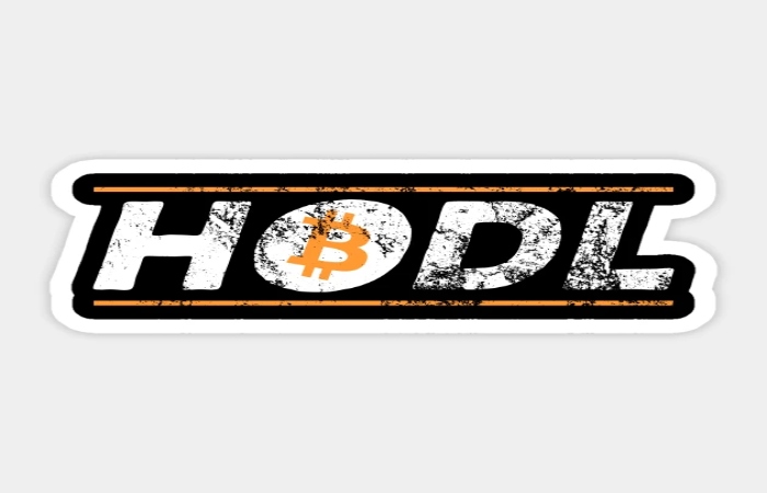 What is the HODL Strategy_