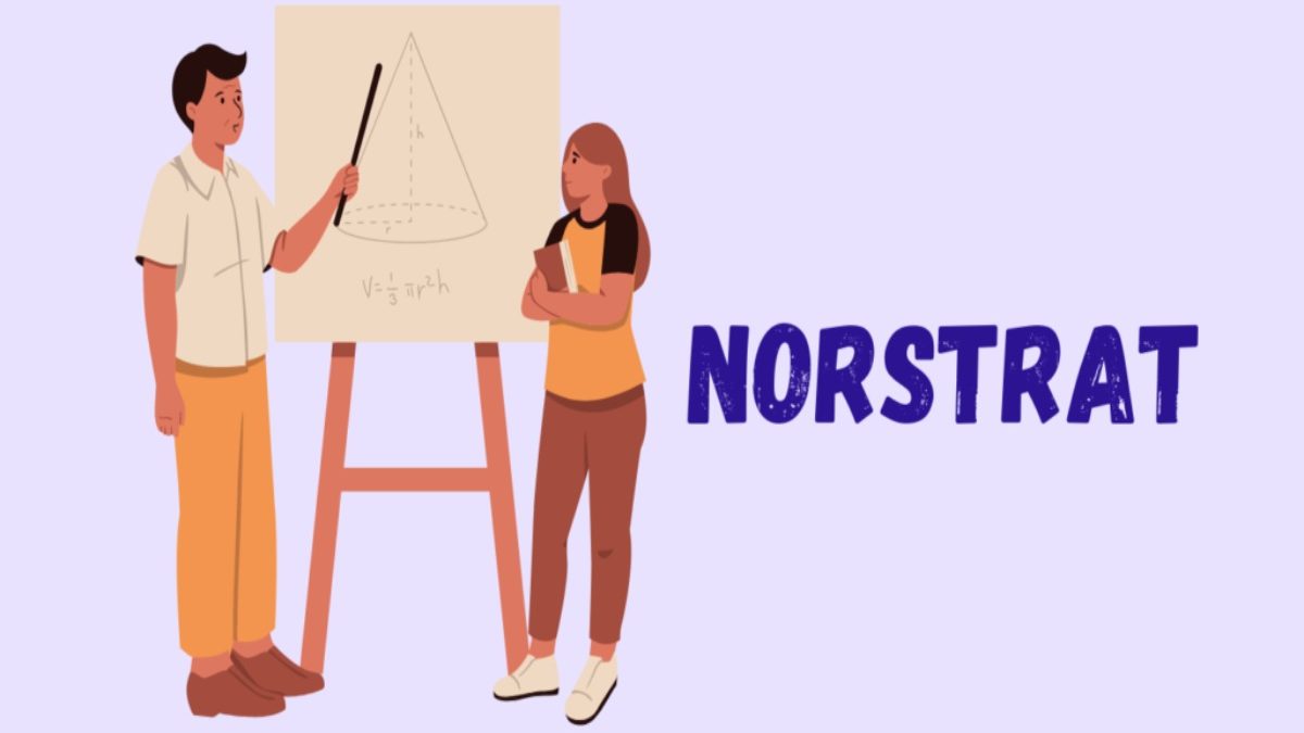What is Norstrat? History, Founder, Services, Facts, and More