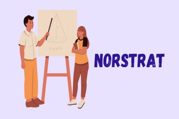 What is Norstrat_ History, Founder, Services, Facts, and More